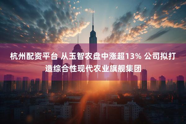 杭州配资平台 从玉智农盘中涨超13% 公司拟打造综合性现代农业旗舰集团